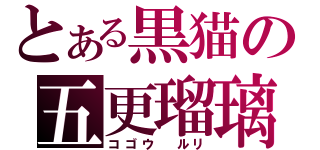 とある黒猫の五更瑠璃（コゴウ ルリ）