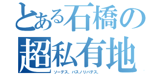 とある石橋の超私有地（ソーデス、バスノリバデス。）