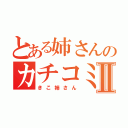 とある姉さんのカチコミⅡ（きこ姉さん）