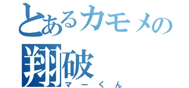 とあるカモメの翔破（マーくん）