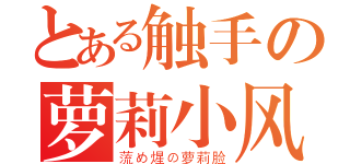 とある触手の萝莉小风（蓅め煋の萝莉脸）