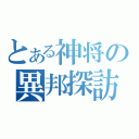 とある神将の異邦探訪（）