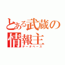 とある武蔵の情報主（データベース）