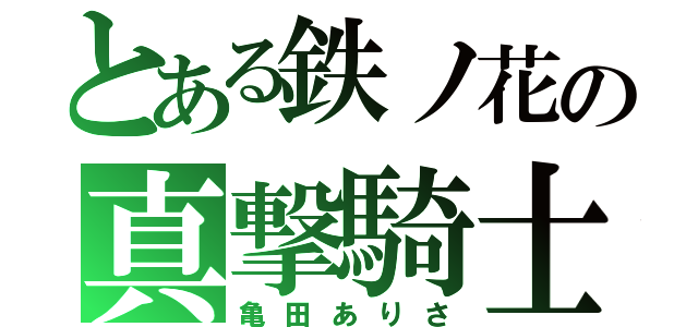 とある鉄ノ花の真撃騎士（亀田ありさ）