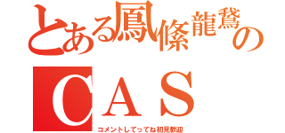 とある鳳絛龍鵞のＣＡＳ（コメントしてってね初見歓迎）