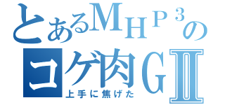 とあるＭＨＰ３ｒｄのコゲ肉ＧⅡ（上手に焦げた）