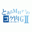 とあるＭＨＰ３ｒｄのコゲ肉ＧⅡ（上手に焦げた）