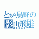 とある烏野の影山飛雄（過去は王様）