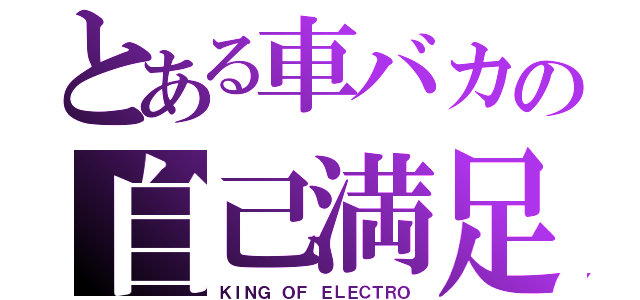 とある車バカの自己満足（ＫＩＮＧ ＯＦ ＥＬＥＣＴＲＯ）