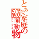 とある家庭の激萌動物（ピーチ・イチカワ）