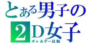 とある男子の２Ｄ女子（ギャルゲー日和）