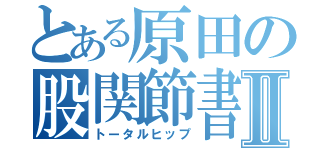 とある原田の股関節書目録Ⅱ（トータルヒップ）