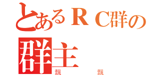 とあるＲＣ群の群主（飄飄）