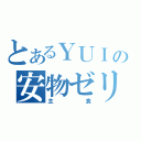 とあるＹＵＩの安物ゼリー（主食）