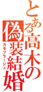 とある高木の偽装結婚Ⅱ（カモフラージュ）