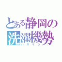 とある静岡の洗濯機勢（ハスミン）