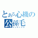 とある心機の公孫毛（インデックス）