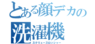 とある顔デカの洗濯機（スクリュースロッシャー）