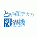 とある顔デカの洗濯機（スクリュースロッシャー）