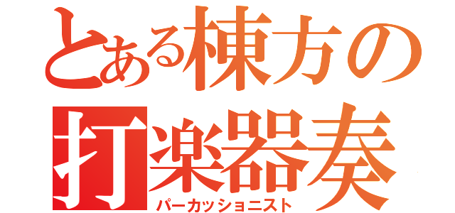 とある棟方の打楽器奏者（パーカッショニスト）