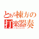 とある棟方の打楽器奏者（パーカッショニスト）