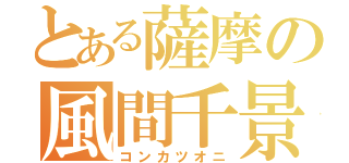 とある薩摩の風間千景（コンカツオニ）