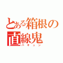 とある箱根の直線鬼（バキュン）