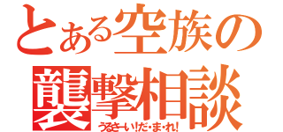 とある空族の襲撃相談（うるさーい！だ・ま・れ！）