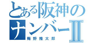 とある阪神のナンバーⅡ（梅野隆太郎）