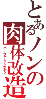 とあるノンの肉体改造（パーフェクトボディ）