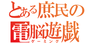 とある庶民の電脳遊戯（ゲーミング）