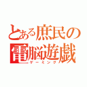 とある庶民の電脳遊戯（ゲーミング）