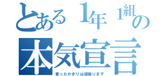 とある１年１組の本気宣言（言ったかぎりは頑張ります）