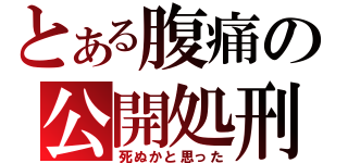 とある腹痛の公開処刑（死ぬかと思った）