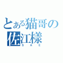 とある猫哥の佐江樣（ＳＡＥ）