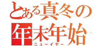 とある真冬の年末年始（ニューイヤー）