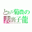 とある菊農の表裏子龍（コンプレイセンス）