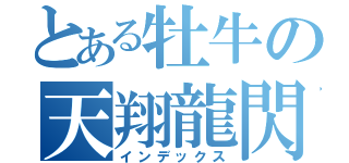 とある牡牛の天翔龍閃（インデックス）