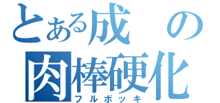 とある成の肉棒硬化（フルボッキ）