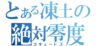 とある凍土の絶対零度（コキュートス）