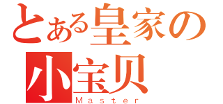 とある皇家の小宝贝（Ｍａｓｔｅｒ）