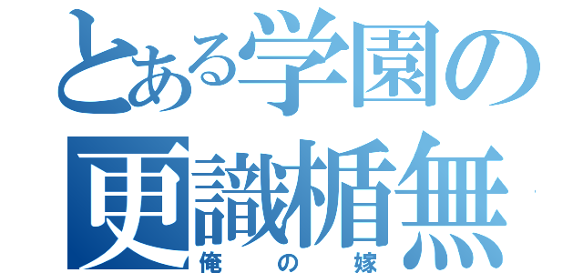 とある学園の更識楯無（俺の嫁）