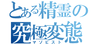 とある精霊の究極変態（マゾヒスト）