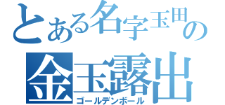 とある名字玉田の金玉露出（ゴールデンボール）