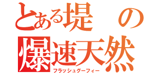 とある堤の爆速天然（フラッシュグーフィー）