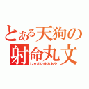 とある天狗の射命丸文（しゃめいまるあや）