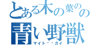 とある木の葉のの青い野獣（マイト⚫︎ガイ）