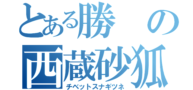 とある勝の西蔵砂狐（チベットスナギツネ）