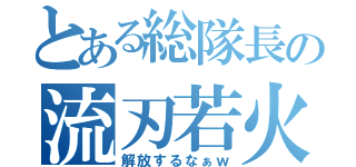 とある総隊長の流刃若火（解放するなぁｗ）