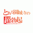 とある園城寺の超勃起（エクスカリバー）